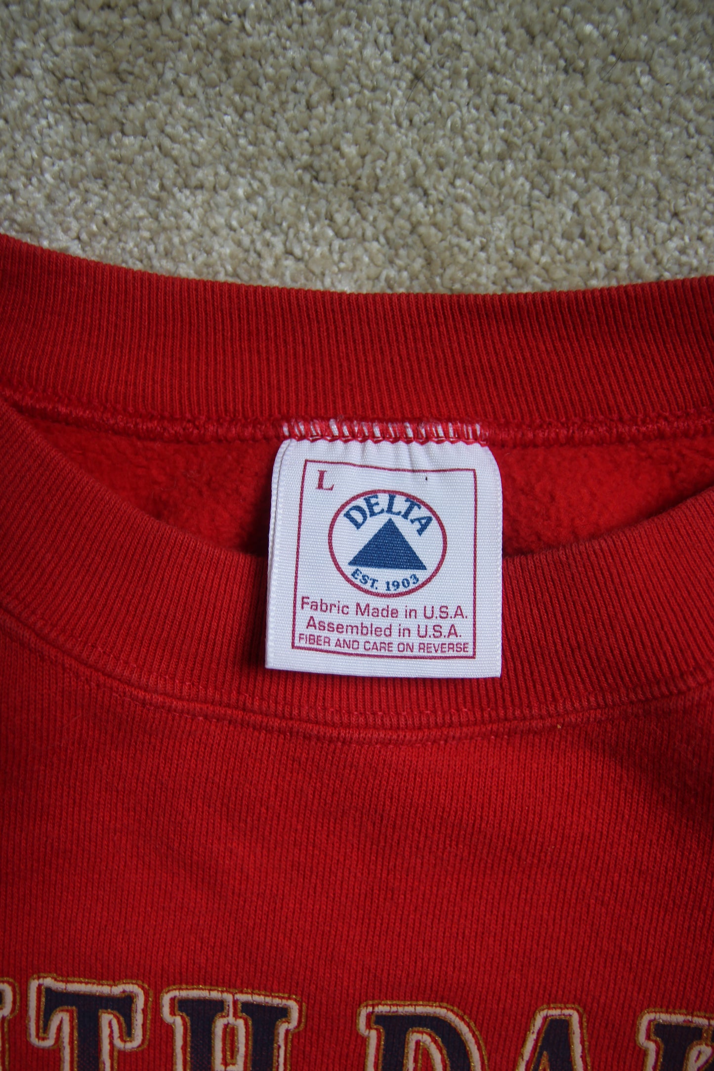 Vintage 90s South Dakota Crewneck (L)