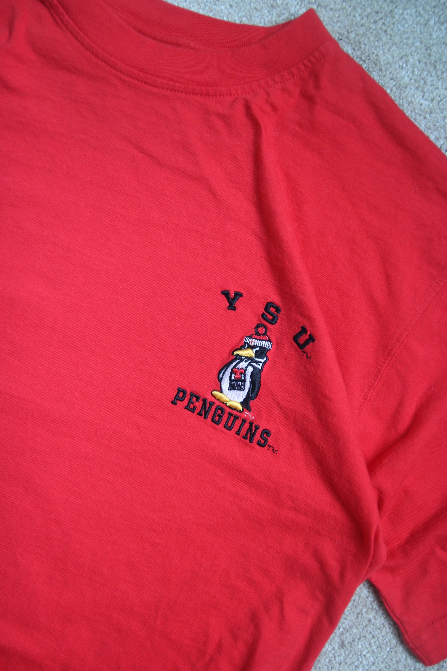 Vintage Youngstown State University Tee (L)