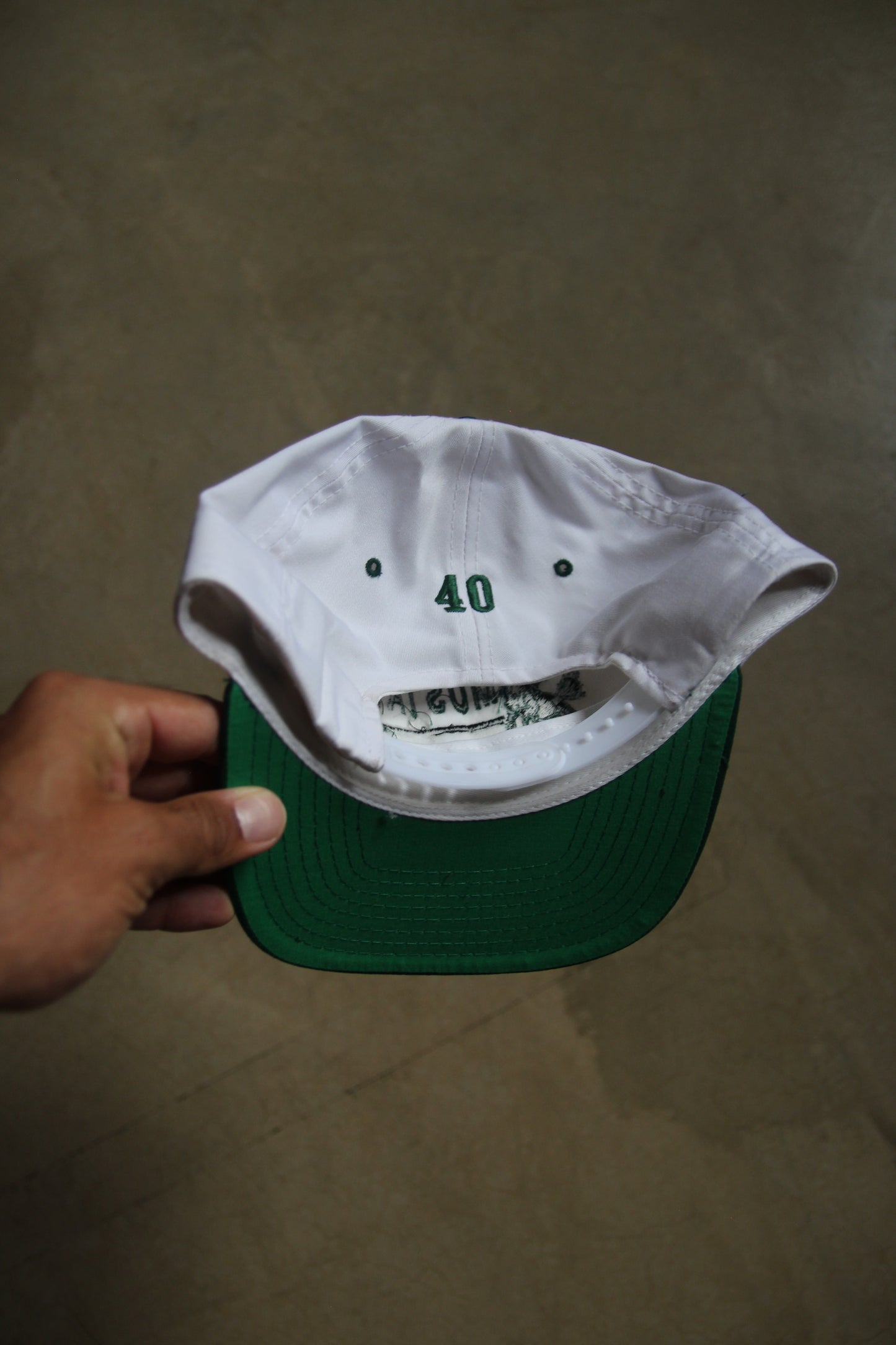 Vintage Evergreen Park Mustangs Hat