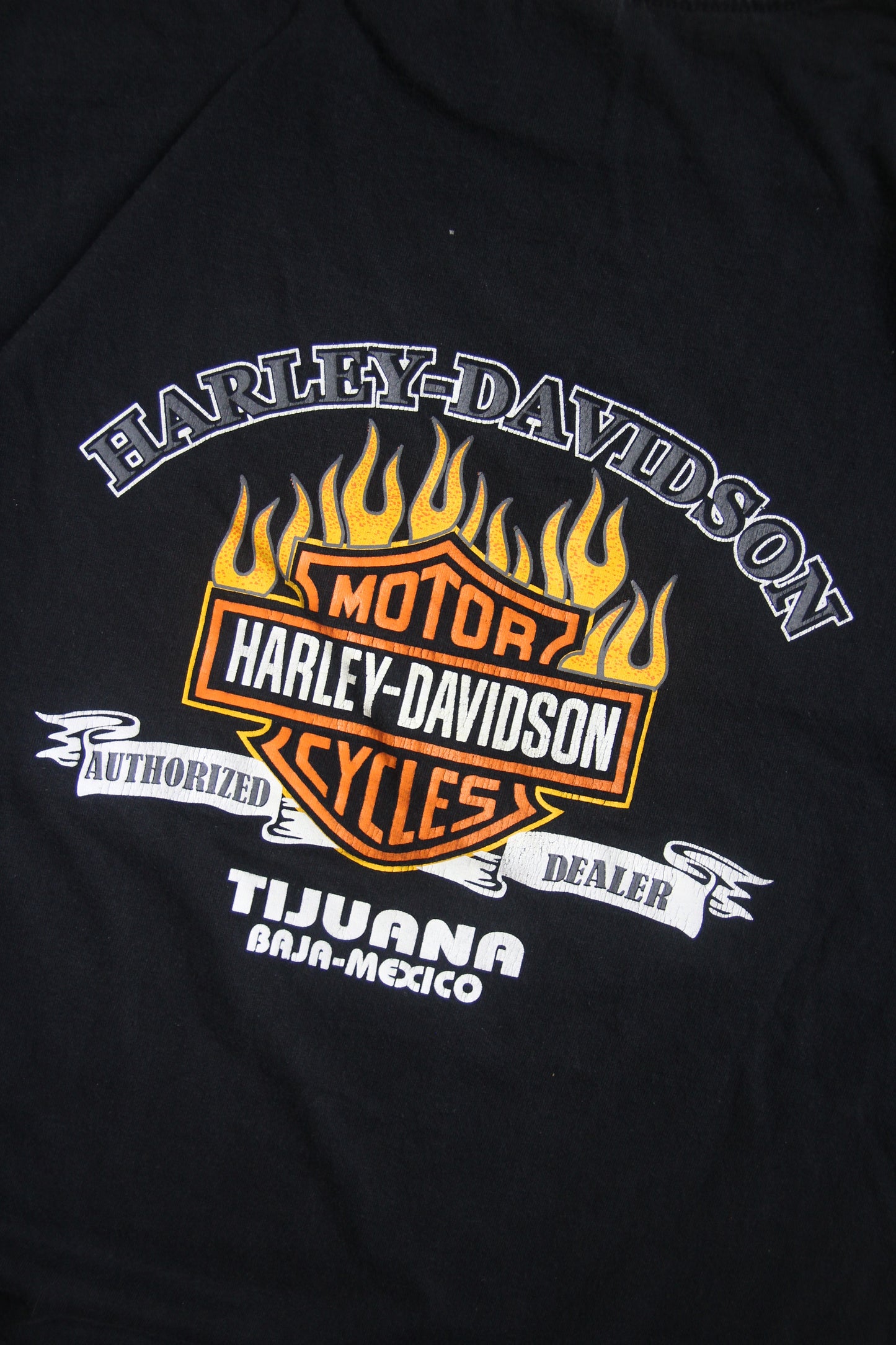 Vintage 90s Harley Davidson Mexico Shirt (L)